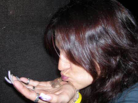 Kiss that
                                                        frog (nope,
                                                        didn't work,
                                                        damn!)